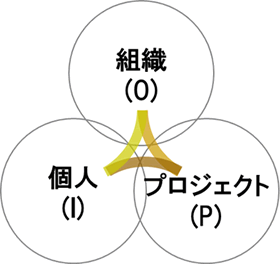 図 1 IPMAデルタの概念図