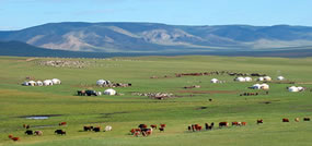 モンゴル遊牧民生活（JAIST学生作成資料）